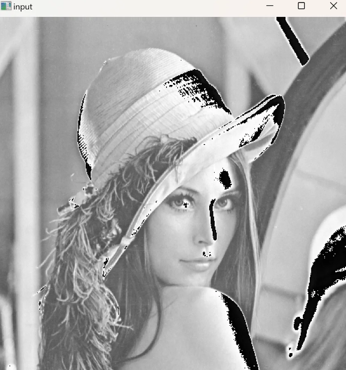 image-20241206022034397